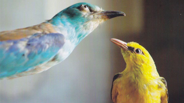 LA DOMENICA SI VA AL MUSEO (DI PALAZZO D'ARCO) CON ALKEMICA. LABORATORI DIDATTICI PER CONOSCERE SCIENZA E STORIA